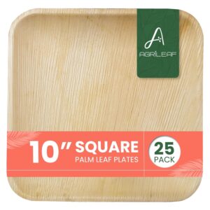 AGRILEAF Palm Leaf Disposable Plates 10 Inch Square | 25 Pack Eco Friendly Compostable Paper Areca Plates_Picnic Party Food Use And Throw Bamboo plate