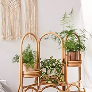 Bamboo Cane Planter for Balcony Indoor and Outdoor | 3 in 1 Stand