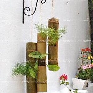 Bamboo Hanging Planter for Your Home Decoration