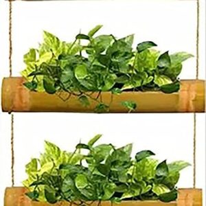Bamboo Planters with Adjustable Rope