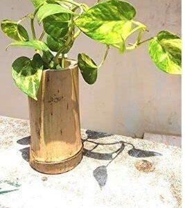 Wall Hanging Pot Planter, Bamboo POTS for Wall Hanging Planter