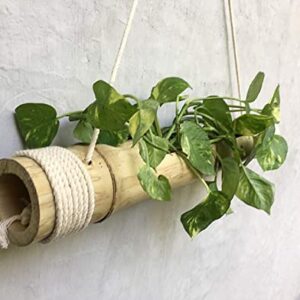Bamboo Hanging Planter with Disposable Gloves