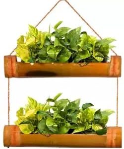 Dastkar Crafts Hanging Bamboo Planters with Adjustable Rope - Pack of 2